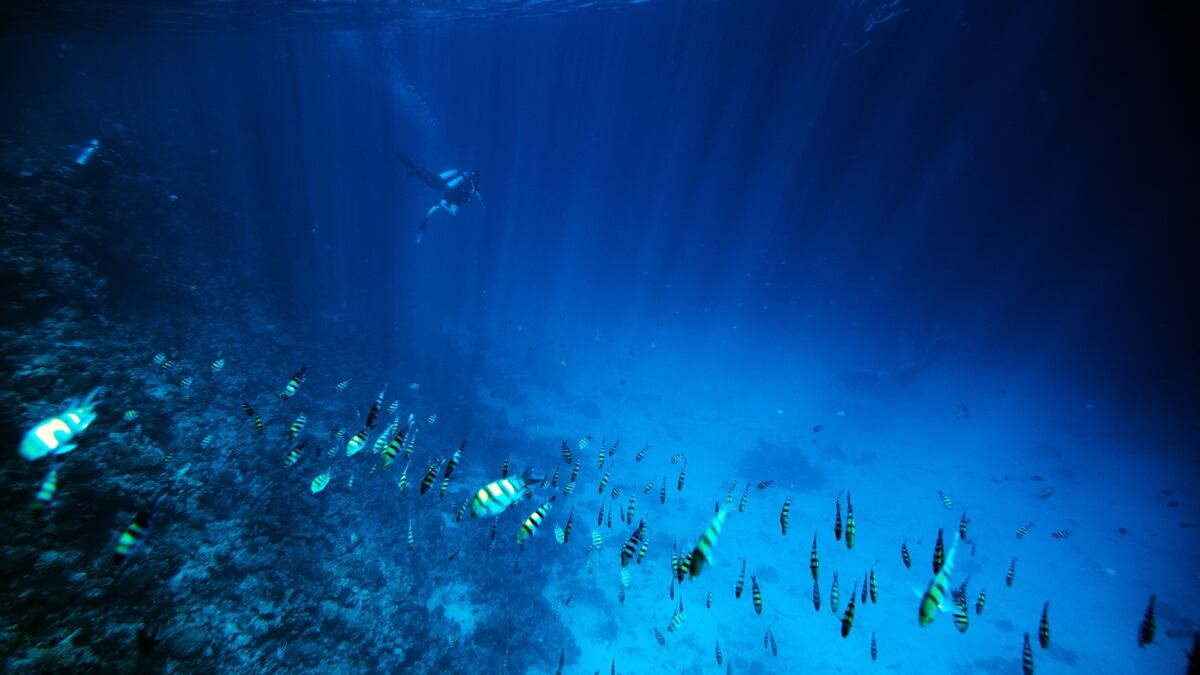 Researchers Want To Use Drones For Ocean Floor Exploration