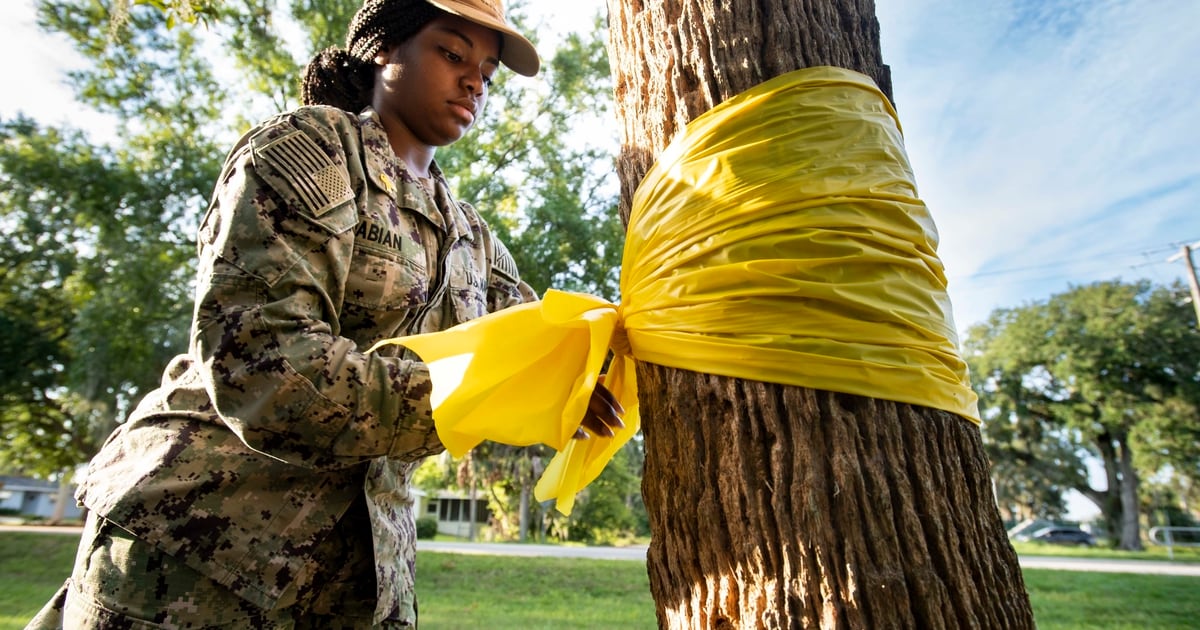 Suicide rates with active service decline after summer, but reserves rise