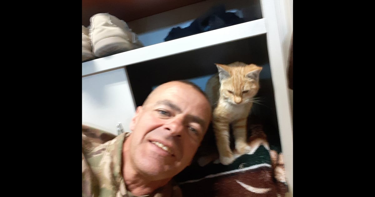 National Guardsman raises money to fly cat home from Afghanistan