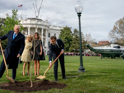First lady Melania Trump, second from right, and Brigitte Macron, second from left, watch as President Donald Trump and French President Emmanuel Macron participate in a tree planting ceremony on the South Lawn of the White House in Washington, Monday, April 23. (Andrew Harnik/AP)