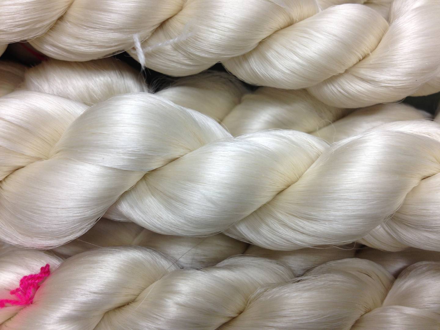 Super silk worms may be the key to better body armor