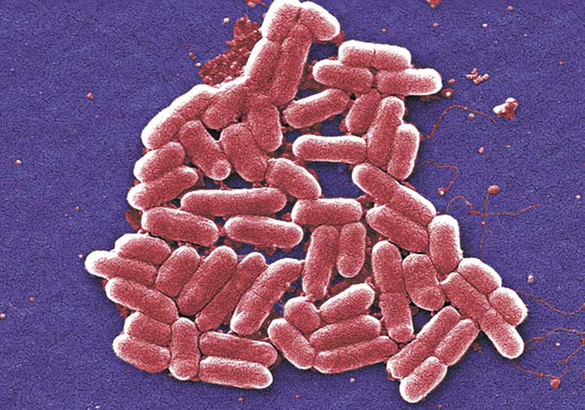 In Close Quarters Risk Of Disease Is Higher