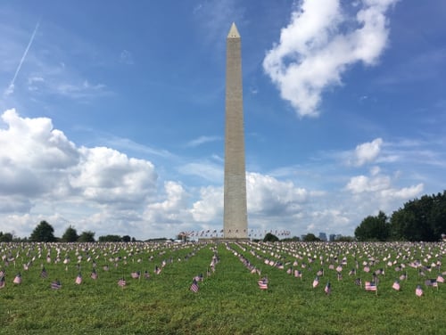 Veterans advocates planted 5,520 flags along the National Mall on Wednesday to symbolize the veterans lost to suicide in 2018 alone. (Leo Shane III/Staff)