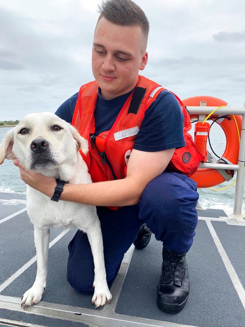Coasties Rescue Man Boy Dog After Boat Capsizes
