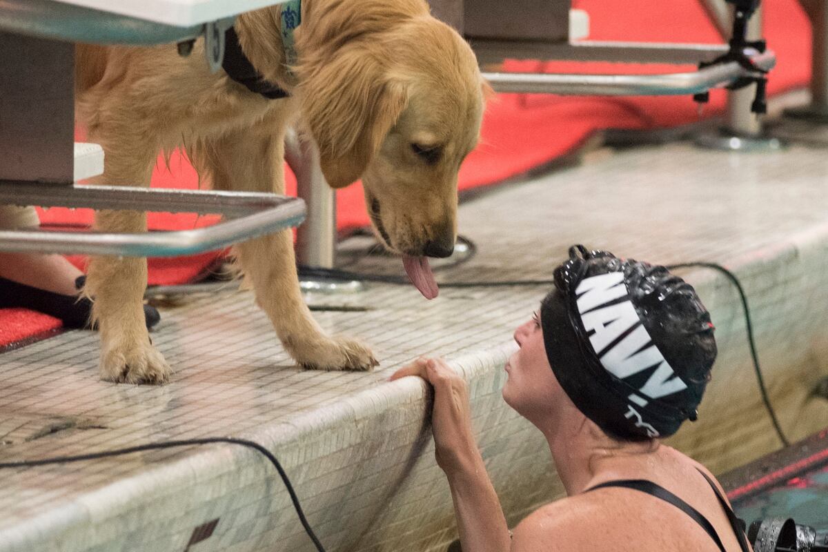 VA program to provide service dogs for some veterans with