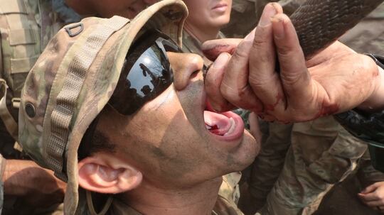 A U.S. soldier drinks cobra blood during a jungle survival course as part of exercise Cobra Gold 2020 at Ban Dan Lan Hoi, Kingdom of Thailand, Feb. 27, 2020. (Staff Sgt. Christopher Osburn/Army Reserve)
