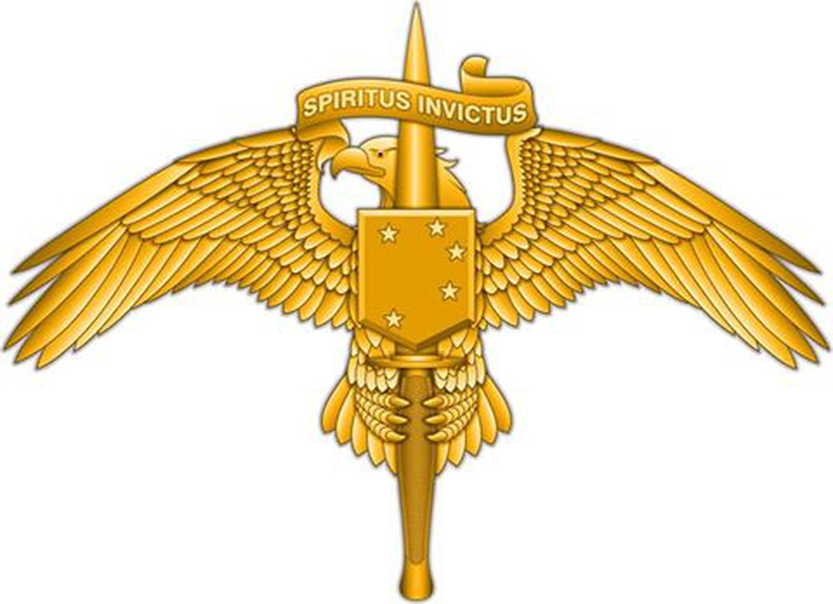 Marine Raiders Will Soon Wear This Special Insignia On Their Uniforms