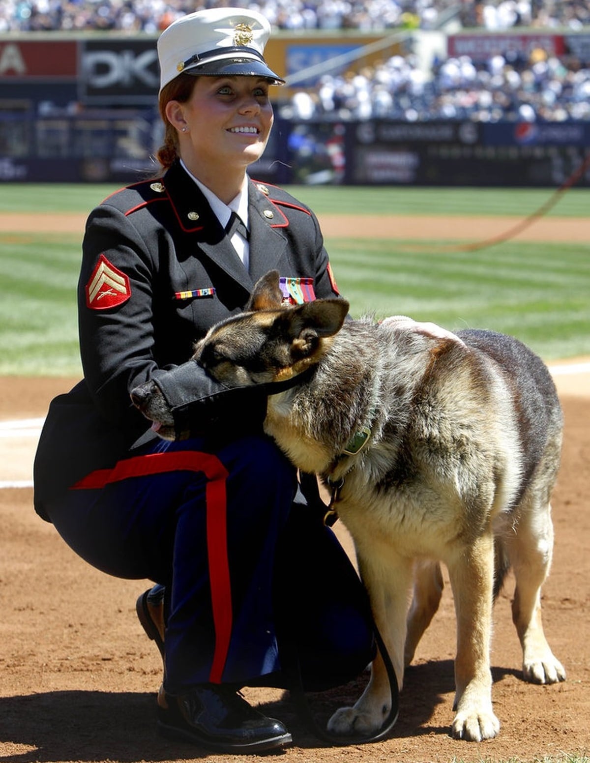 Honors For Iraq Vet K 9 Portrayed In Film Megan Leavey