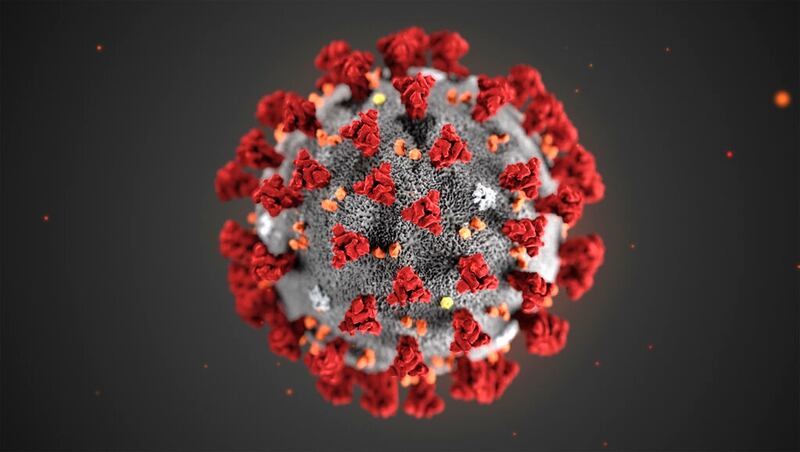 This illustration provided by the Centers for Disease Control and Prevention in January 2020 shows the 2019 novel coronavirus (2019-nCoV). (CDC via AP)