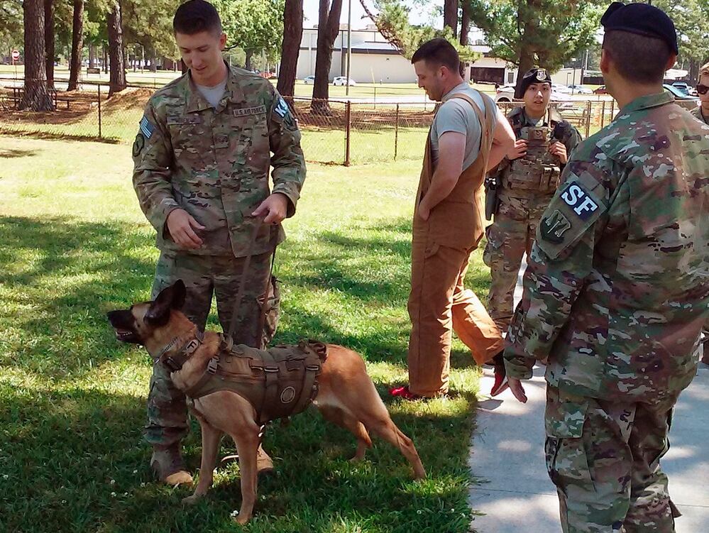Air Force Times Independent News For Airmen Air Force Times - airmen at seymour johnson air force base n c demons!   trate how they work with their military working dogs