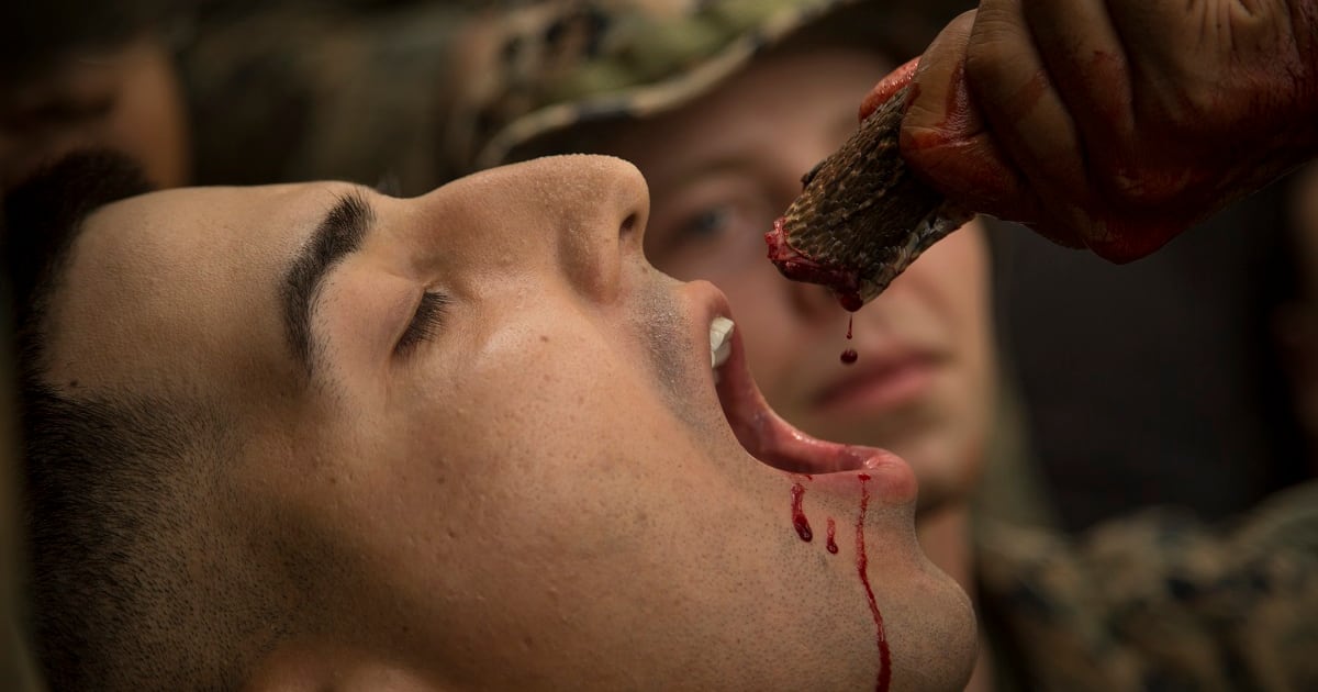 PETA demands Marines stop drinking cobra blood, eating live animals