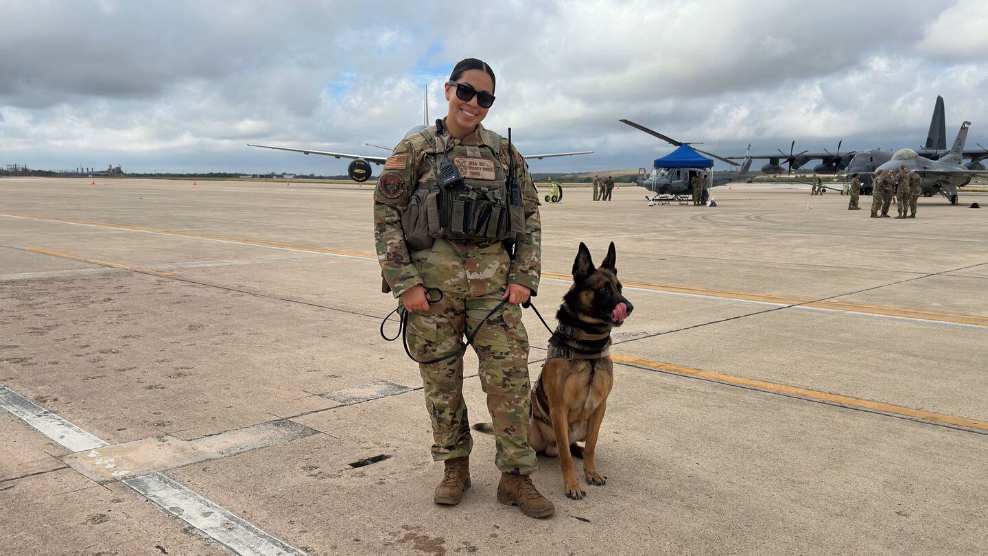 Congress may create medal to honor heroic military dogs