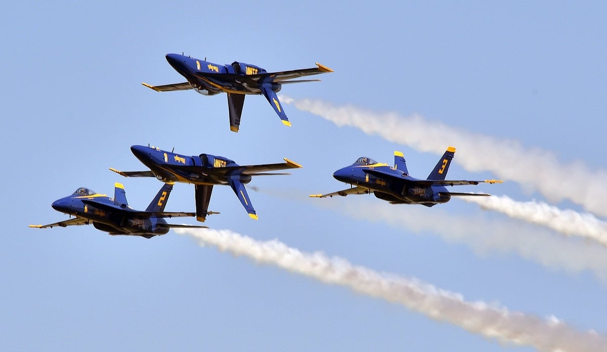Bird Flies Into Jet Engine During Blue Angels Air Show