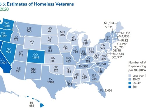 An excerpt from the 2020 Annual Homeless Assessment Report to Congress shows veterans homelessness numbers across the country. (Courtesy of HUD)