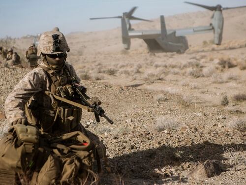 A New Pft Why The Corps Might Adopt The Royal Marines Fitness Tests The united states marine corps requires that all marines perform a physical fitness test (pft) and a combat fitness test (cft) once per calendar year. adopt the royal marines fitness tests