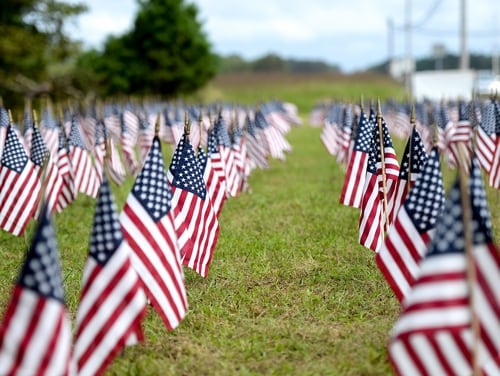 American flags stand in the ground Sept. 1, 2020, outside of the 177th Fighter Wing, Egg Harbor Township, N.J. The 660 American flags placed under the 177FW's billboard represent the approximate amount of veterans who commit suicide every month in the United States. (Airman 1st Class Hunter Hires/Air National Guard)
