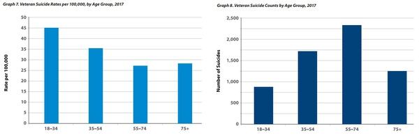 Va Disability Chart For 2019