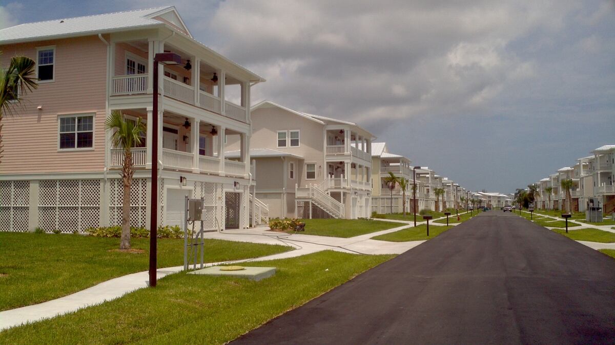 Black Mold Rodents Lead Paint In Privatized Housing No Rent
