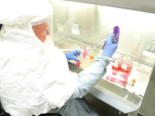 Brian Kearney, a research microbiologist, harvests samples of coronavirus in a Biosafety Level 3 laboratory at the U.S. Army Medical Research Institute of Infectious Diseases at Fort Detrick, Maryland. (Army)