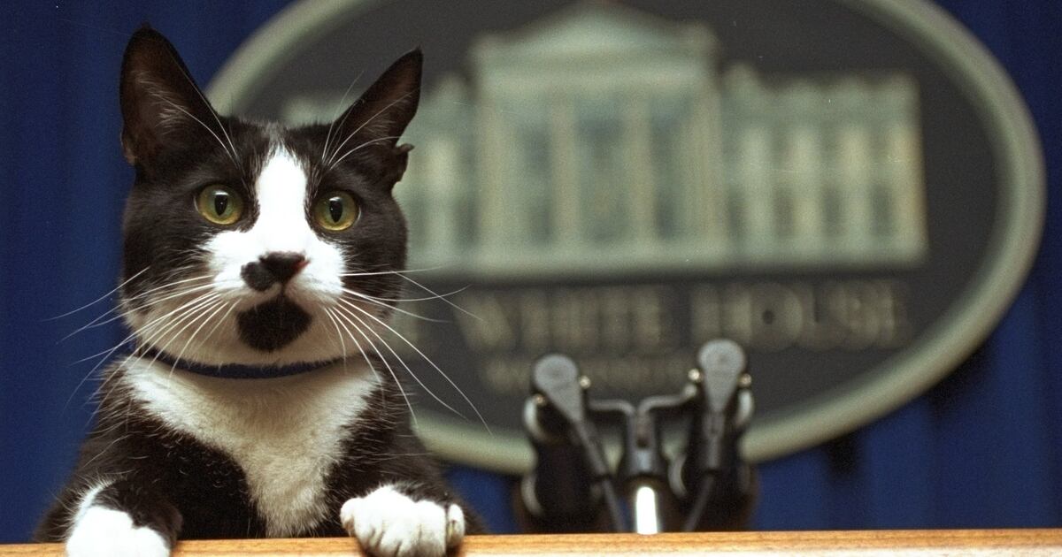 A Vacant White House Job First Pet