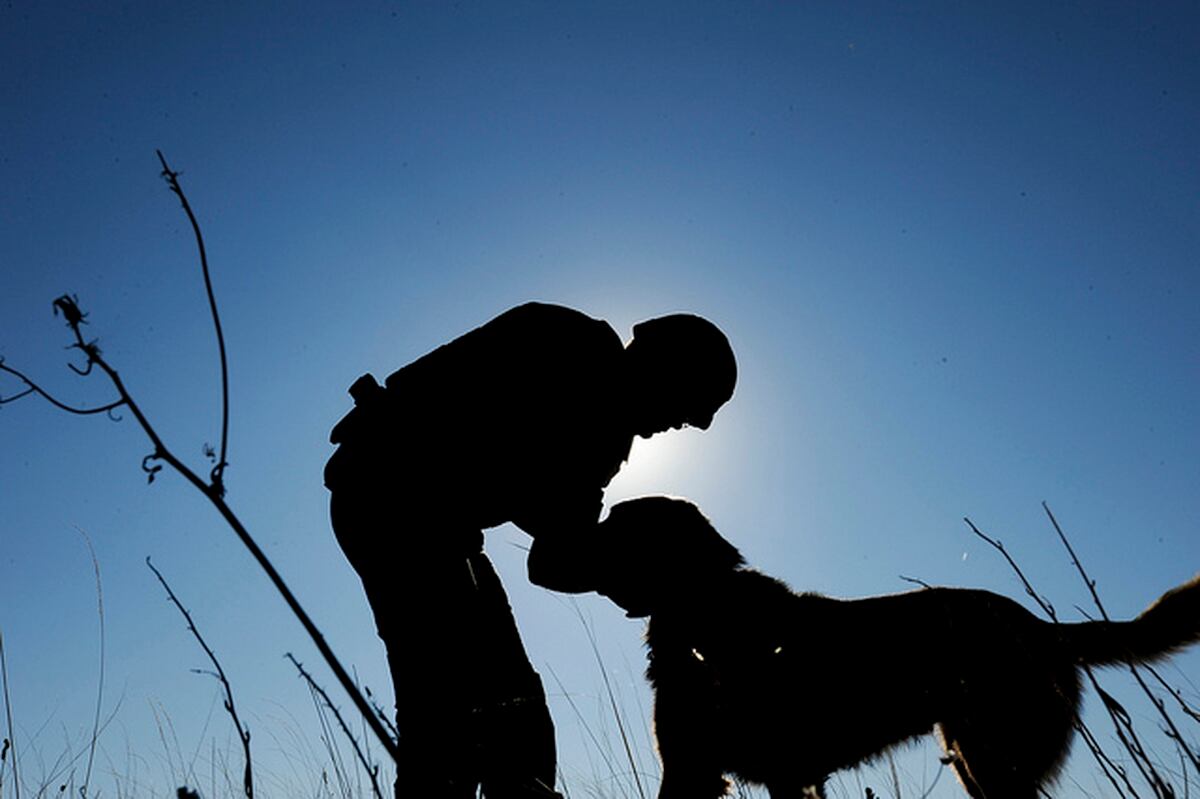 Groton To Hold Ceremony Honoring Military Dog