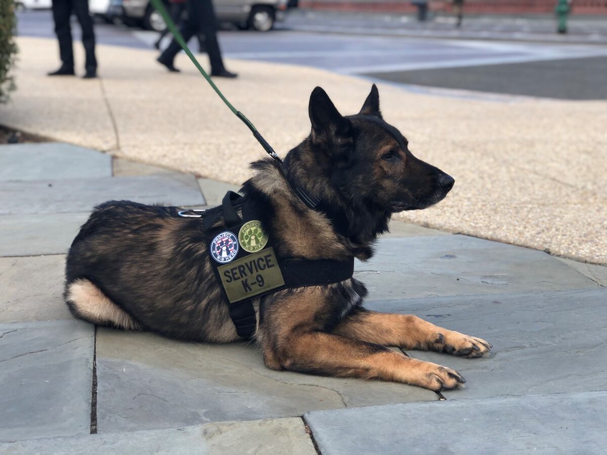 New K 9 Legislation Would Provide Federal Funding For Retired