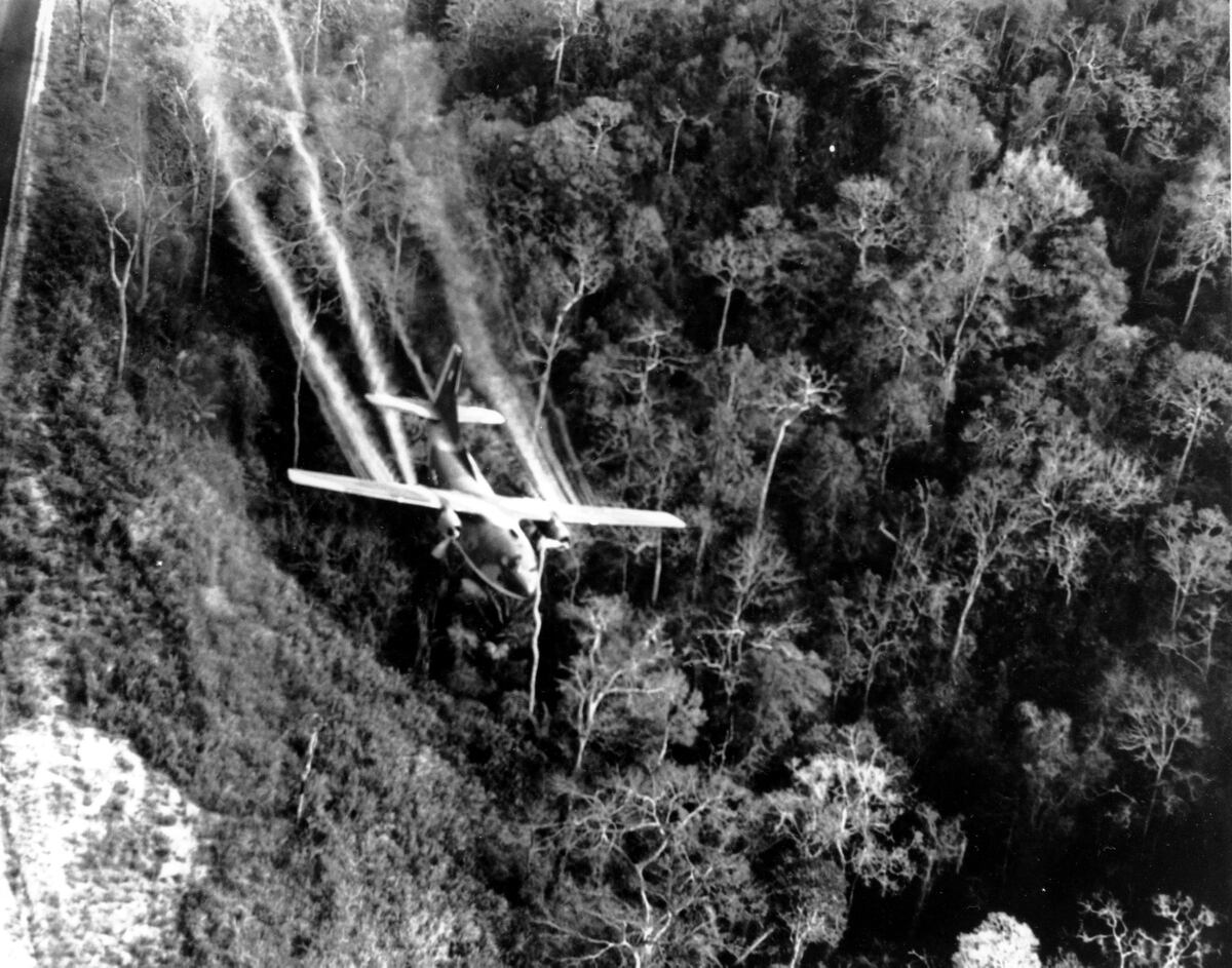 Agent Orange Catching Up To Vietnam Veterans Decades Later