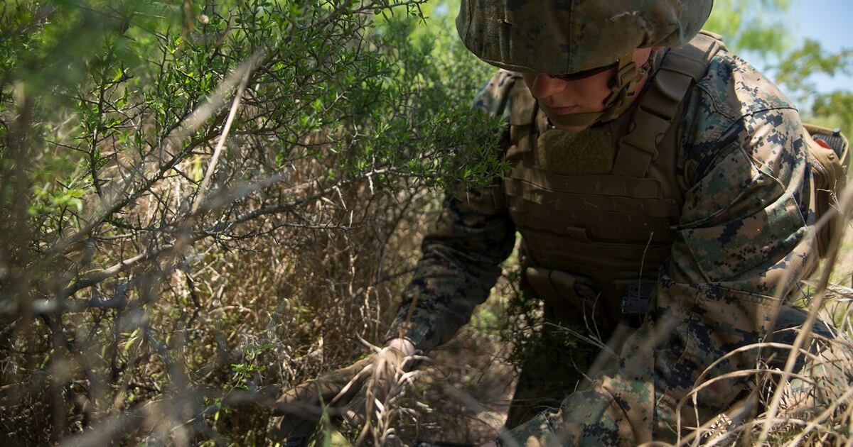 The Marines Want To Test All Recruits For Cyber Skills