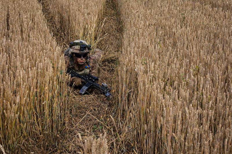 An infantryman conceals himself in a wheatfield during an air assault mission at Bordusani, Romania, at Saber Guardian 19, June 20, 2019.