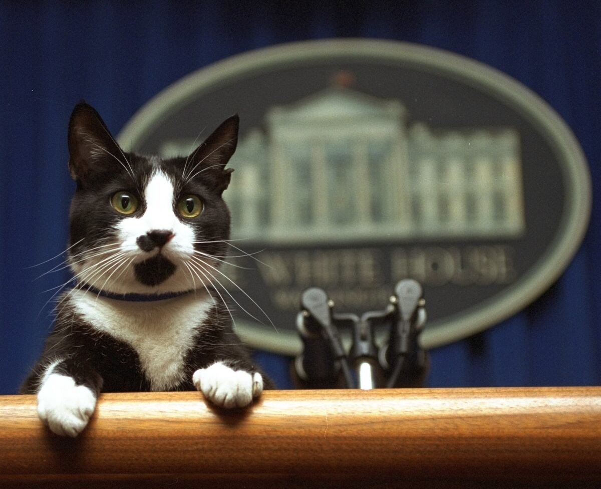 A Vacant White House Job First Pet