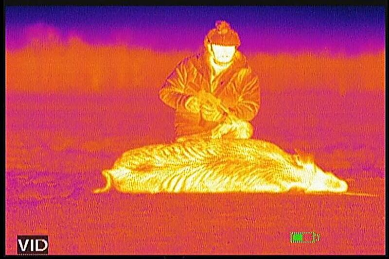 Thermal images using the ATN Thor 30mm. There are 10 color palettes you can choose from.