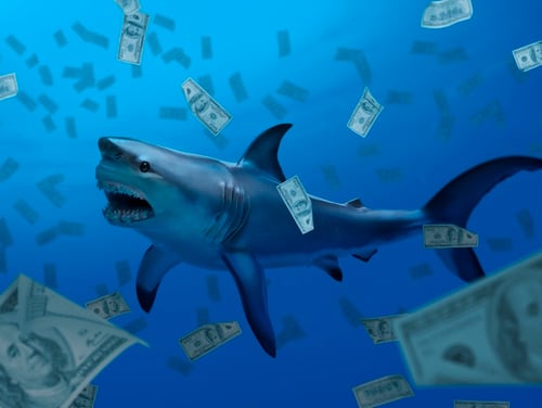 The Air Force awarded contracts to 51 proposals in its first ever pitch day. (ugurhan/Getty Images)