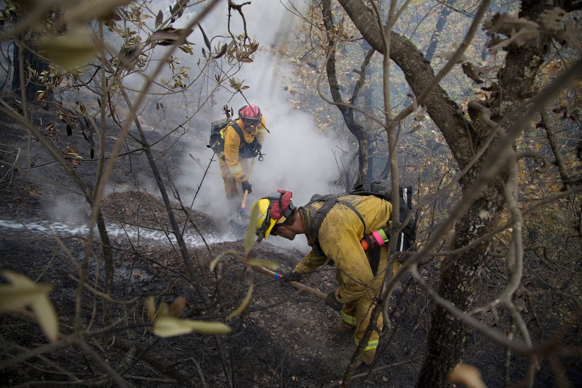 Nffe Calls For Opm Wildland Firefighter Law Fast Track