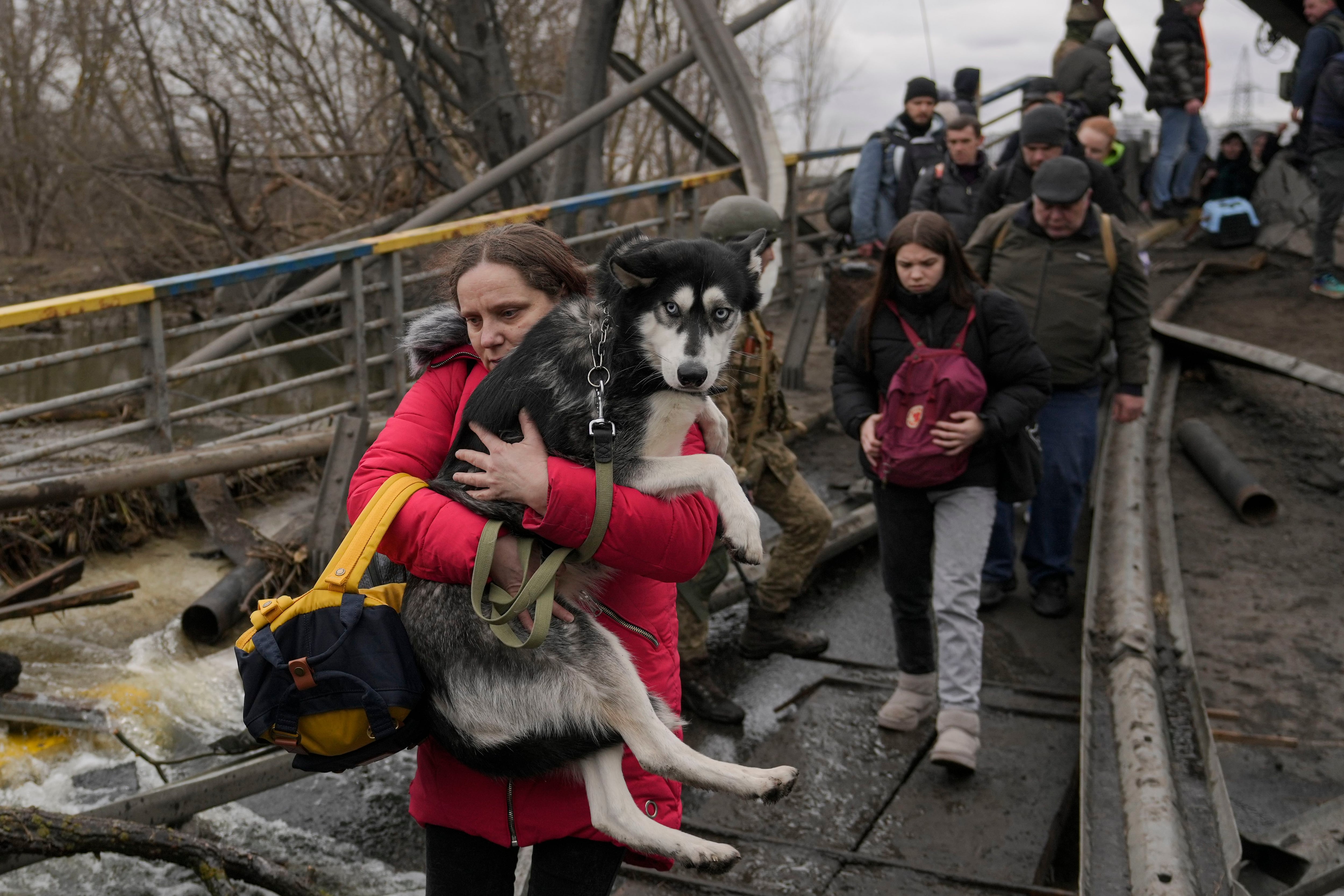 A woman holds a dog while crossing the Irpin River on an improvised path under a bridge that was destroyed by a Russian airstrike, while assisting people fleeing the town of Irpin, Ukraine, Saturday, March 5, 2022. (Vadim Ghirda/AP)