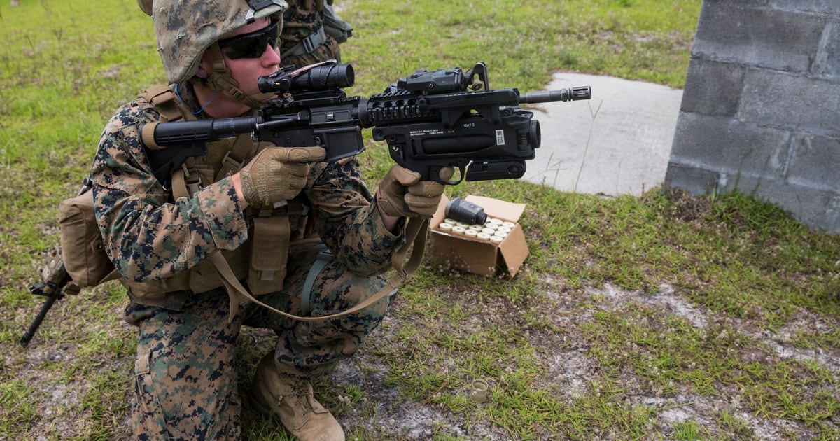 New In 2020 These Marine Weapons Changes Will Make Squads Deadlier