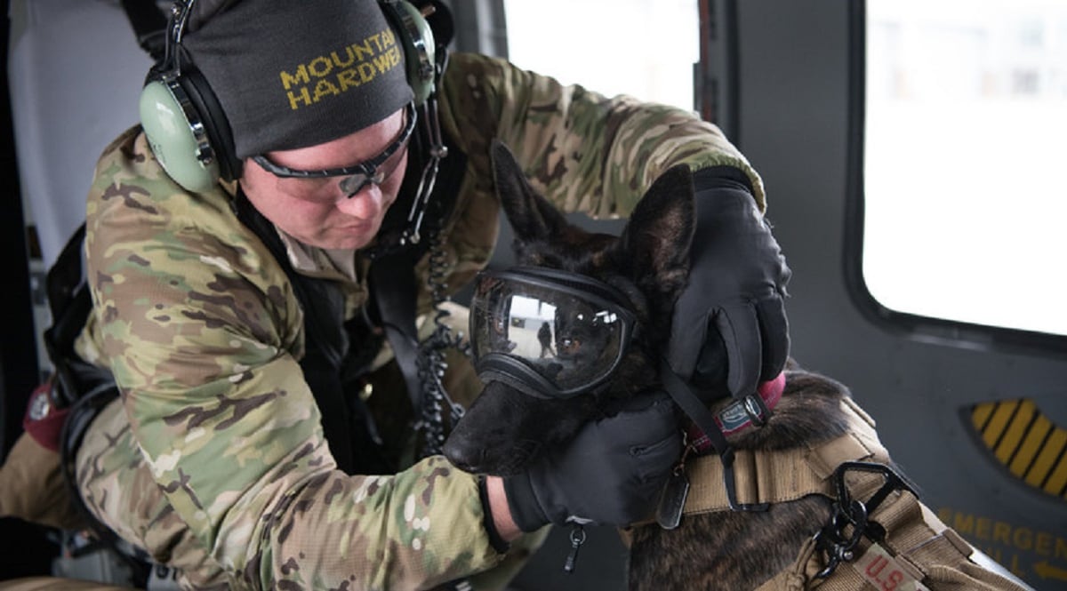 Kentucky Air Guard Recruits Dutch Shepherd For Search And Rescue Operations