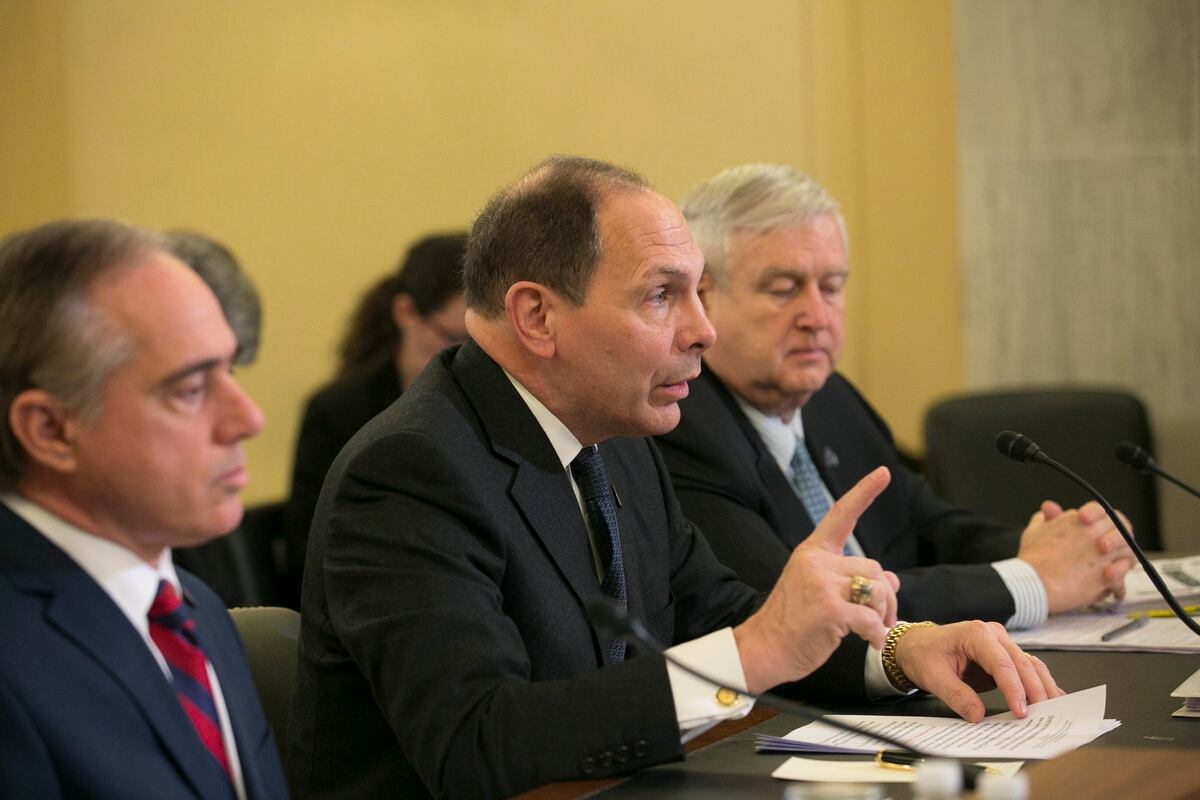 VA secretary outlines ambitious goals for 2016