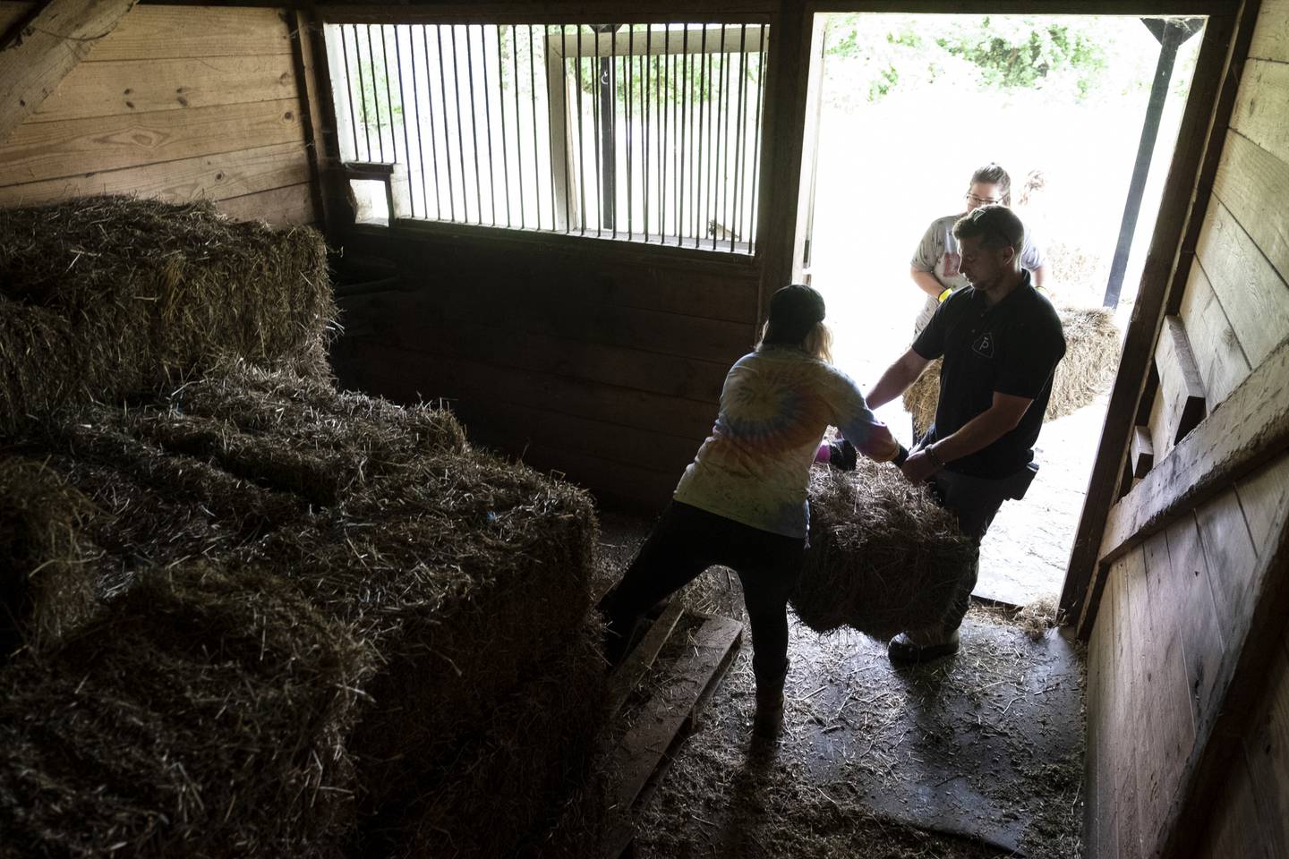 Susan Welch, left, and Kyle Arestivo help move bales of hay during a clean up event for Trails of Purpose, May 20, 2023 , in Chesapeake, Va., ahead of the opening of their new location in Virginia Beach, Va