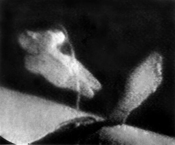 First Human To Walk In Space Dies In Moscow - 