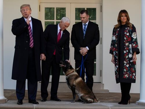 President Trump Takes A Paws To Honor Military Working Dogs