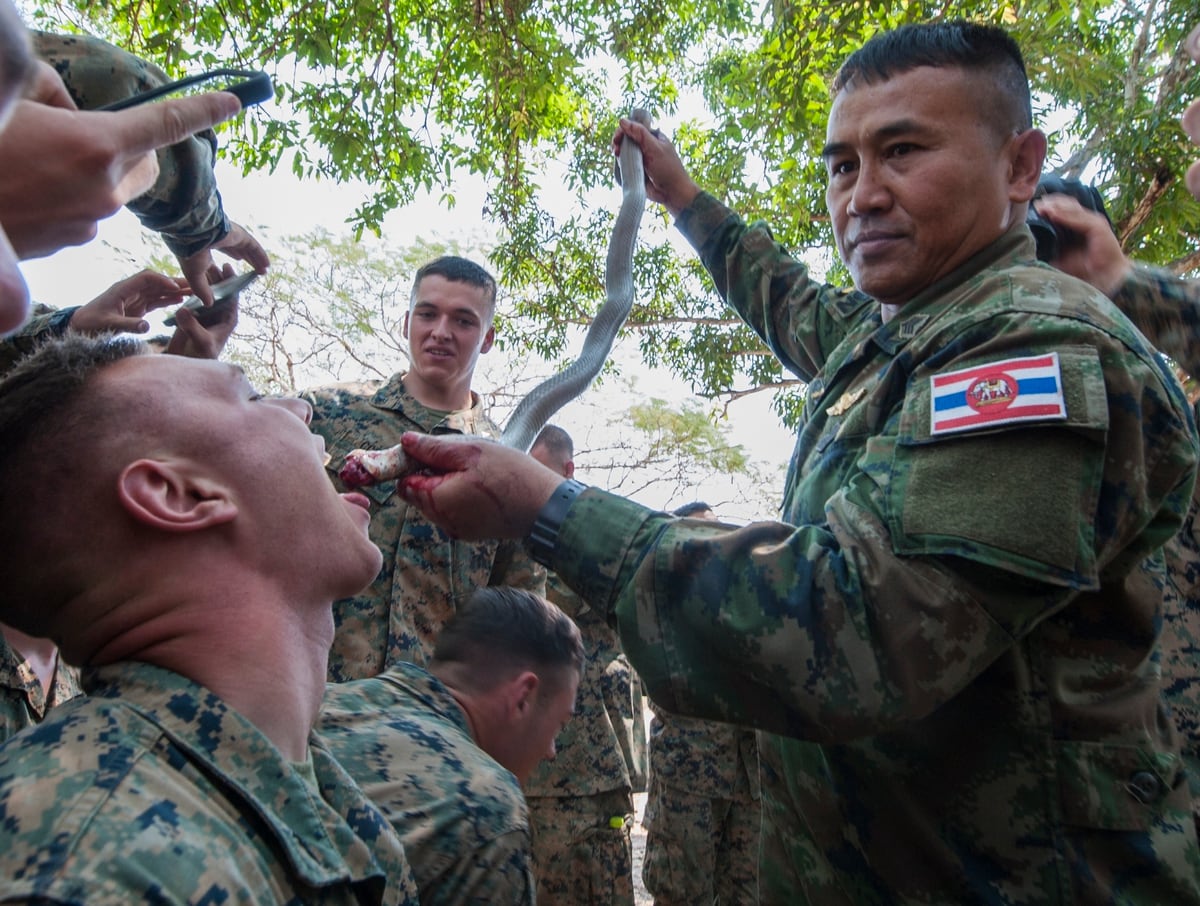 US Marines drink snake blood on the job - YouTube
