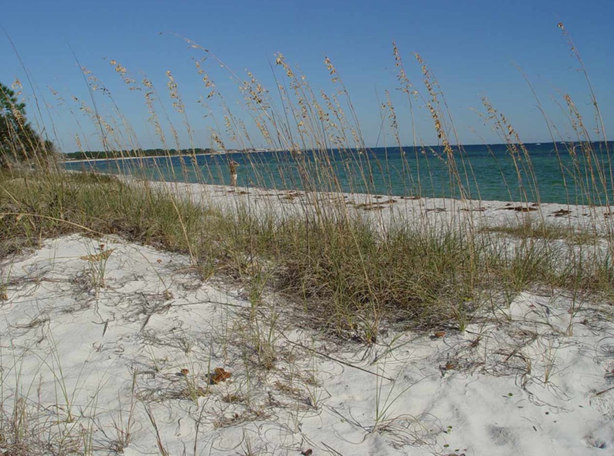 The Best Beaches At A Base Near You