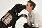 Do service dogs really help with PTSD? A new study has answers