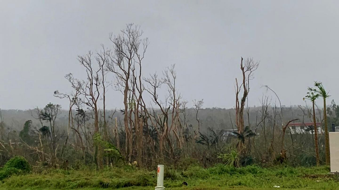 Trees stand stripped of leaves following Typhoon Mawar outside Hagatna, Guam, Thursday. (Grace Garces Bordallo/AP)