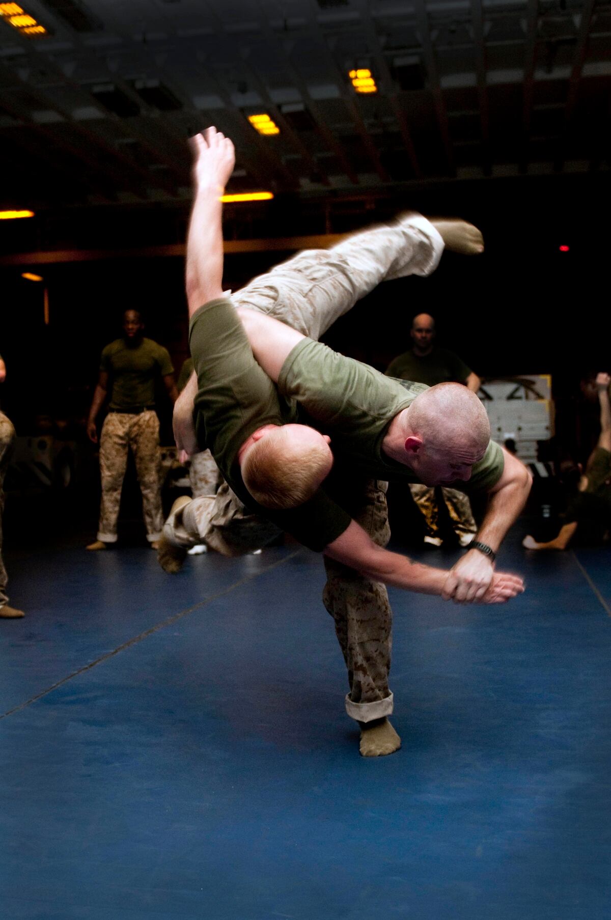 SEALs now train like UFC fighters, but a lawmaker questions why
