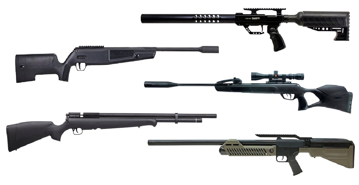  Air  rifles  5 top models new  for 2021