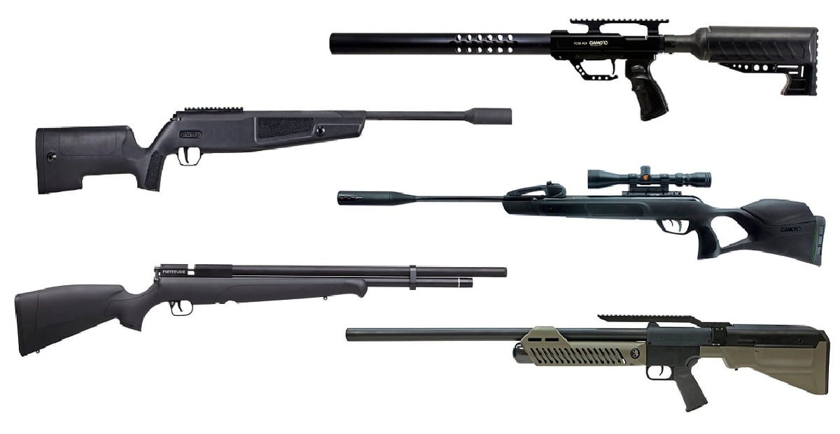  Air  rifles  5 top  models new for 2021