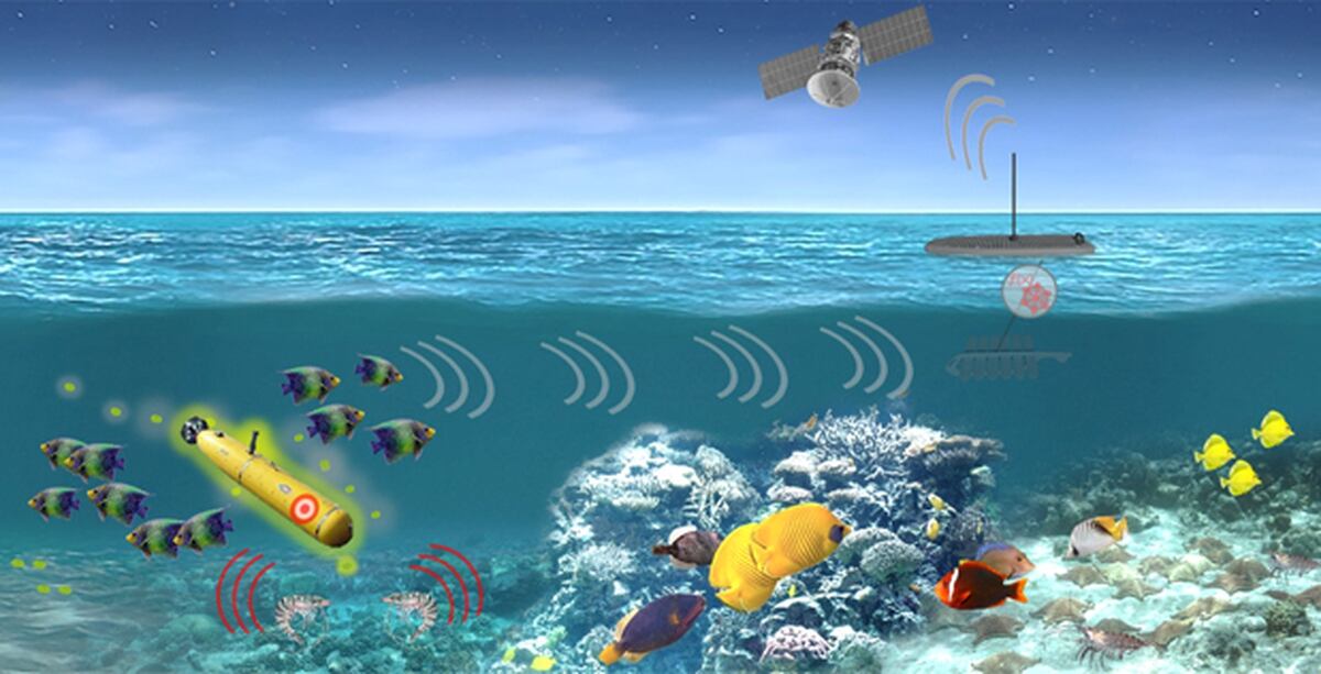 From shellfish to plankton, DARPA program turns creatures into sensors