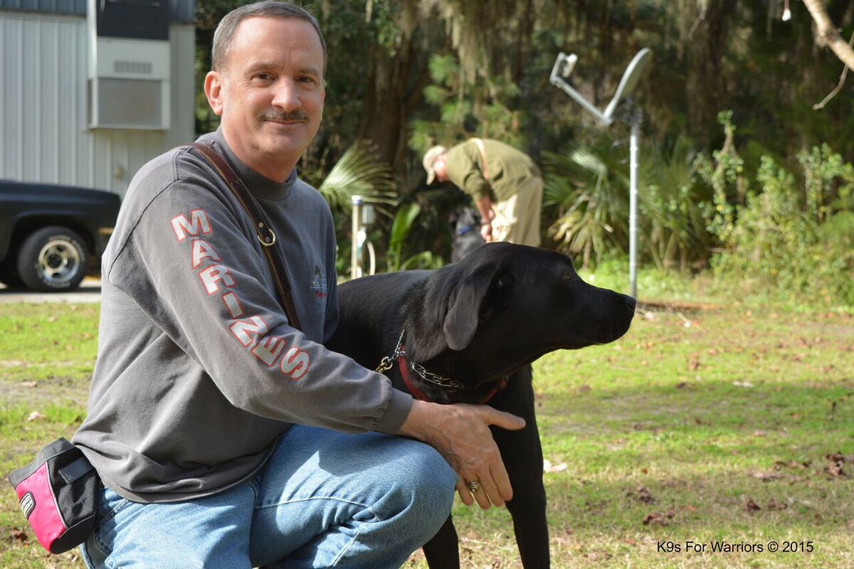 Spared from the kennel: These rescue dogs now help vets