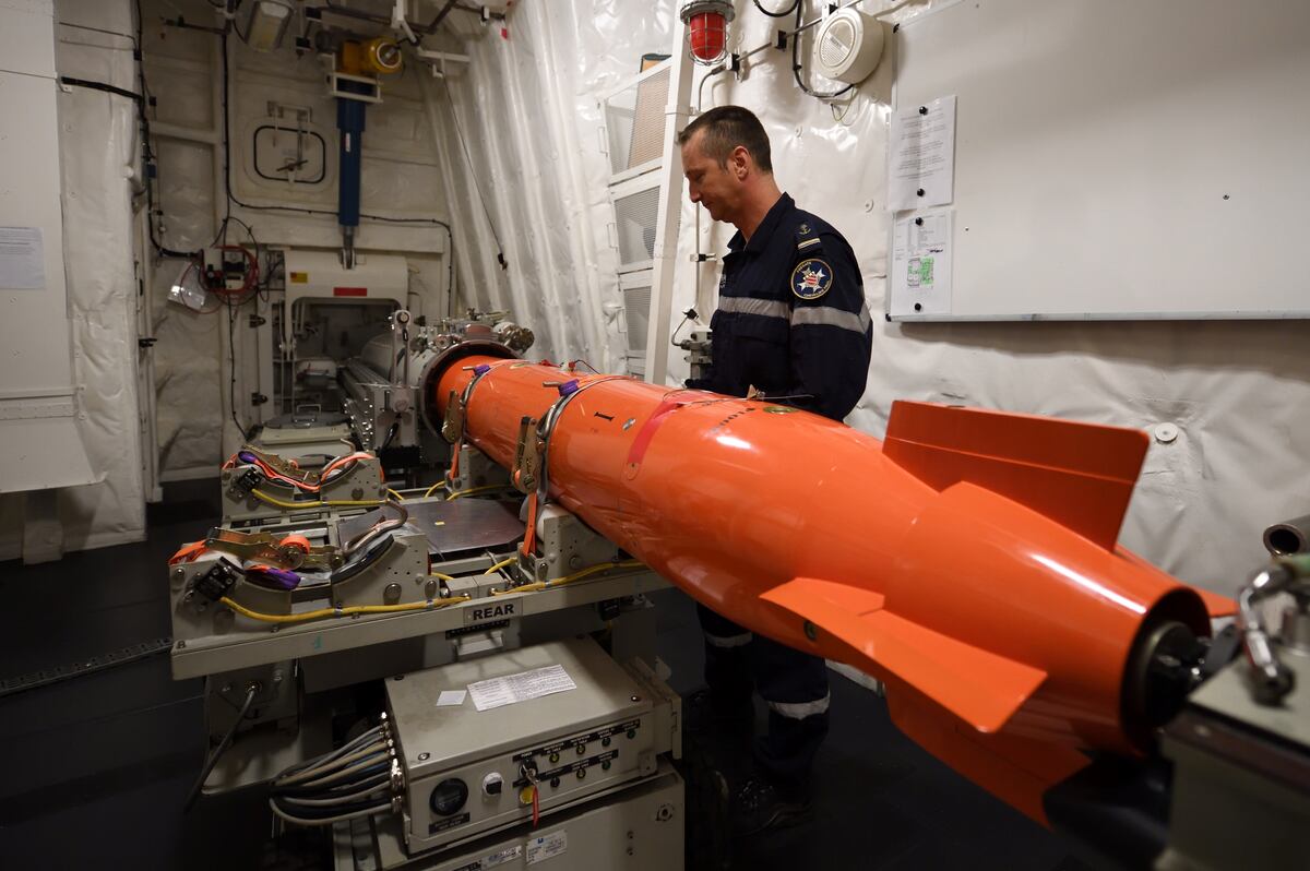 NextImg:French, Turkish naval companies tinker with torpedo interceptors